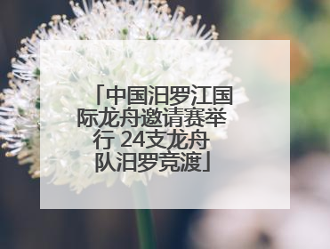 中国汨罗江国际龙舟邀请赛举行 24支龙舟队汨罗竞渡