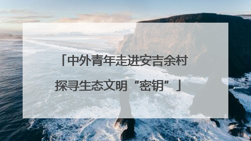 中外青年走进安吉余村探寻生态文明“密钥”