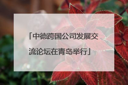 中德跨国公司发展交流论坛在青岛举行