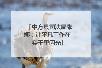 中方县司法局张娜：让平凡工作在实干里闪光