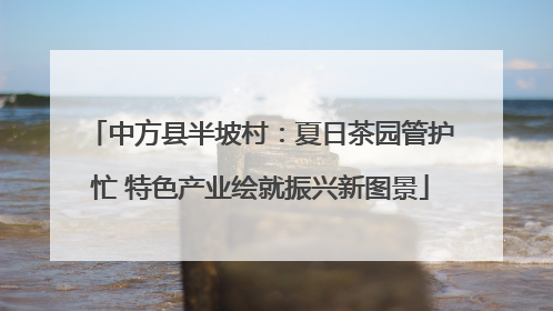 中方县半坡村：夏日茶园管护忙 特色产业绘就振兴新图景