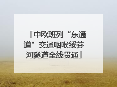 中欧班列“东通道”交通咽喉绥芬河隧道全线贯通