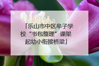 乐山市中区牟子学校“书包整理”课架起幼小衔接桥梁