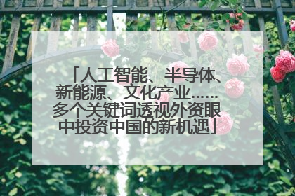 人工智能、半导体、新能源、文化产业……多个关键词透视外资眼中投资中国的新机遇