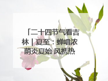 二十四节气看吉林｜夏至：蝉唱浓荫炎夏始 风携热浪白昼长