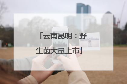 云南昆明：野生菌大量上市