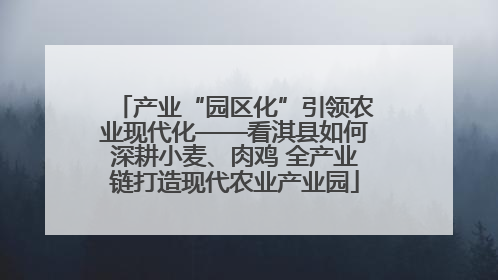 产业“园区化”引领农业现代化——看淇县如何深耕小麦、肉鸡 全产业链打造现代农业产业园