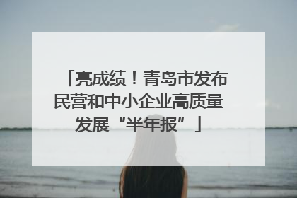 亮成绩！青岛市发布民营和中小企业高质量发展“半年报”