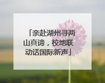 亲赴湖州寻两山真谛，校地联动话国际新声