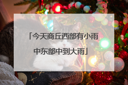 今天商丘西部有小雨 中东部中到大雨