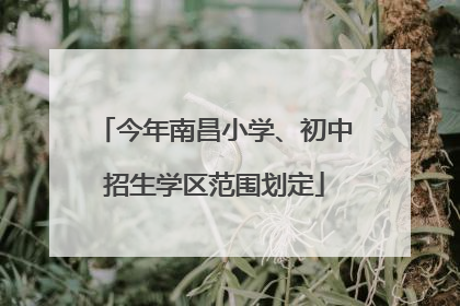 今年南昌小学、初中招生学区范围划定
