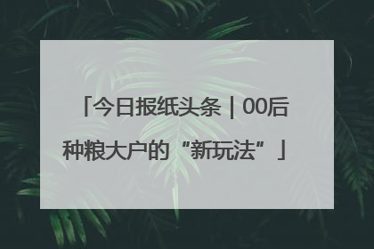 今日报纸头条｜00后种粮大户的“新玩法”