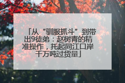 从“驯服抓斗”到带出9徒弟：赵树青的精准操作，托起同江口岸千万吨过货量