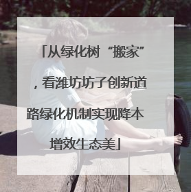 从绿化树“搬家”，看潍坊坊子创新道路绿化机制实现降本增效生态美
