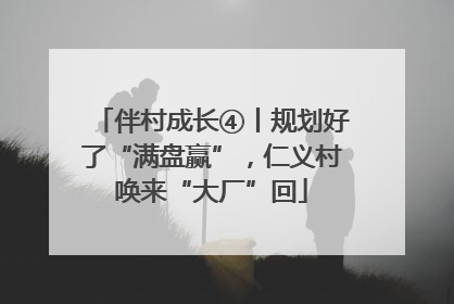 伴村成长④丨规划好了“满盘赢”，仁义村唤来“大厂”回