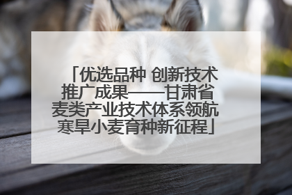 优选品种 创新技术 推广成果——甘肃省麦类产业技术体系领航寒旱小麦育种新征程