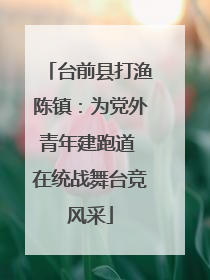 台前县打渔陈镇：为党外青年建跑道 在统战舞台竞风采