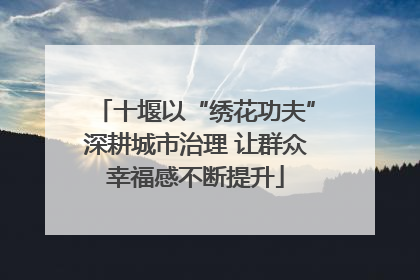 十堰以“绣花功夫”深耕城市治理 让群众幸福感不断提升