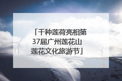 千种莲荷亮相第37届广州莲花山莲花文化旅游节