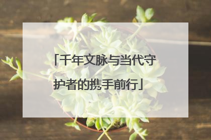 千年文脉与当代守护者的携手前行