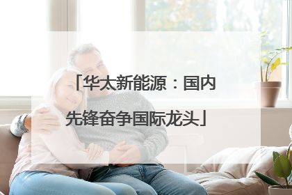 华太新能源：国内先锋奋争国际龙头