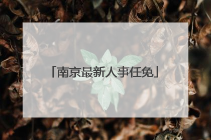 南京最新人事任免