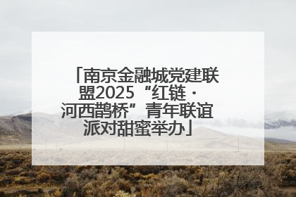 南京金融城党建联盟2025“红链・河西鹊桥”青年联谊派对甜蜜举办