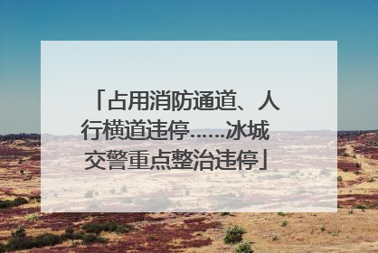 占用消防通道、人行横道违停……冰城交警重点整治违停