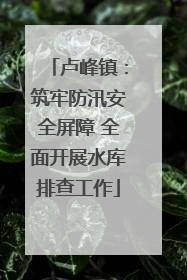 卢峰镇：筑牢防汛安全屏障 全面开展水库排查工作
