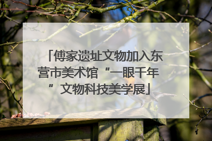 傅家遗址文物加入东营市美术馆“一眼千年”文物科技美学展