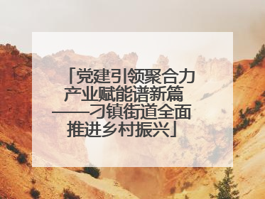 党建引领聚合力 产业赋能谱新篇——刁镇街道全面推进乡村振兴