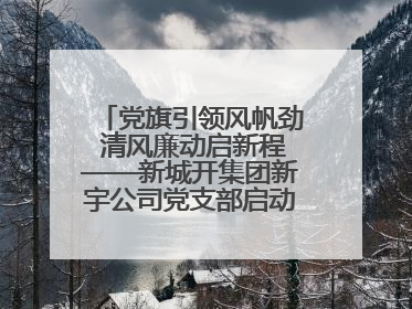 党旗引领风帆劲 清风廉动启新程——新城开集团新宇公司党支部启动“清风廉动党旗红”系列活动