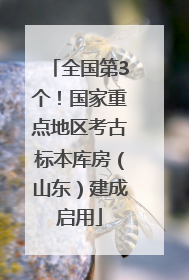 全国第3个！国家重点地区考古标本库房（山东）建成启用