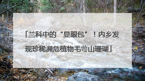 兰科中的“显眼包”！内乡发现珍稀濒危植物毛萼山珊瑚