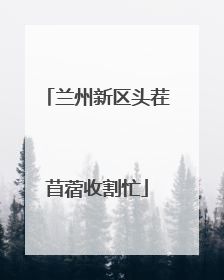 兰州新区头茬苜蓿收割忙