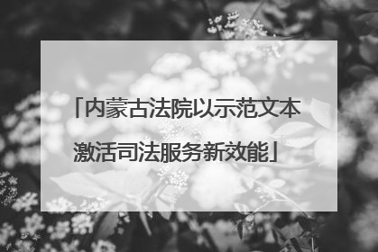 内蒙古法院以示范文本激活司法服务新效能