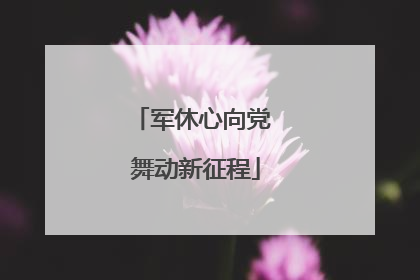 军休心向党 舞动新征程
