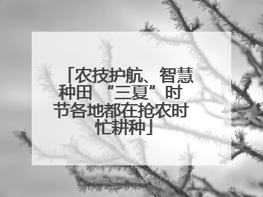 农技护航、智慧种田 “三夏”时节各地都在抢农时 忙耕种