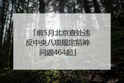 前5月北京查处违反中央八项规定精神问题464起