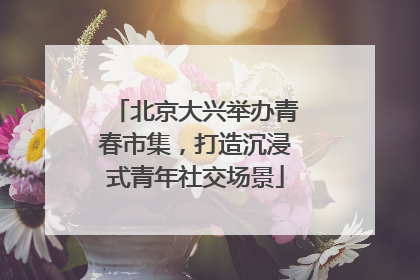 北京大兴举办青春市集，打造沉浸式青年社交场景
