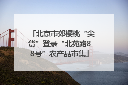 北京市郊樱桃“尖货”登录“北苑路88号”农产品市集