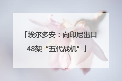 埃尔多安：向印尼出口48架“五代战机”