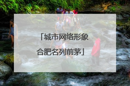 城市网络形象合肥名列前茅