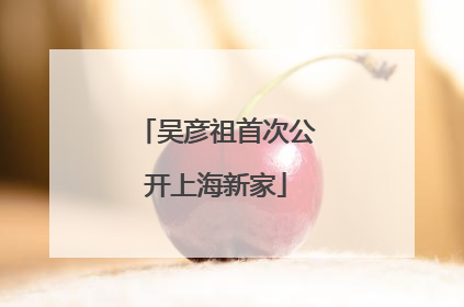 吴彦祖首次公开上海新家