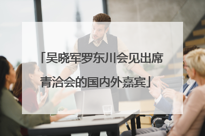 吴晓军罗东川会见出席青洽会的国内外嘉宾
