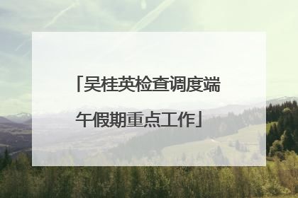 吴桂英检查调度端午假期重点工作