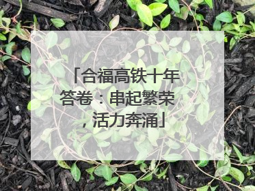 合福高铁十年答卷：串起繁荣，活力奔涌