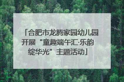 合肥市龙腾家园幼儿园开展“童趣端午汇·乐韵绽华光”主题活动