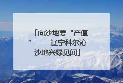 向沙地要“产值”——辽宁科尔沁沙地兴绿见闻