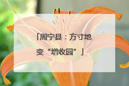 周宁县：方寸地变“增收园”